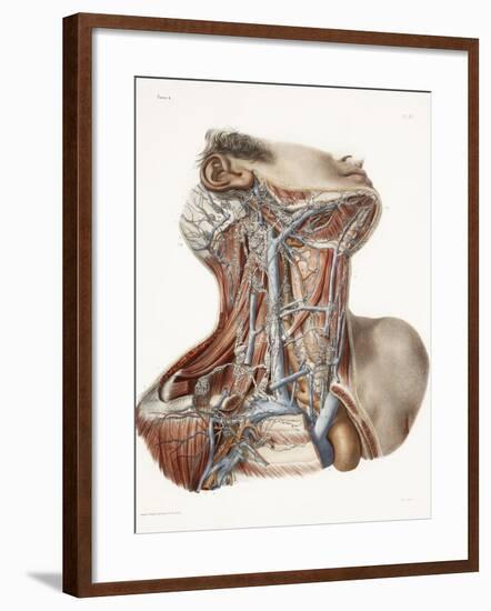 Neck Anatomy, 19th Century Artwork-Science Photo Library-Framed Photographic Print