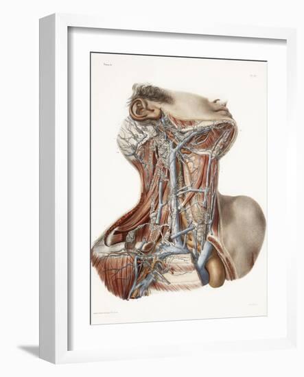 Neck Anatomy, 19th Century Artwork-Science Photo Library-Framed Photographic Print