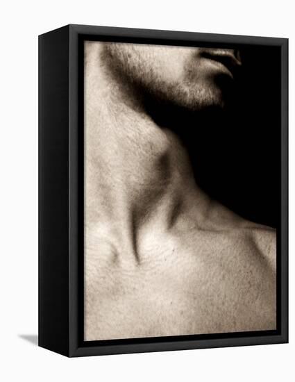 Neck-Fabio Panichi-Framed Premier Image Canvas