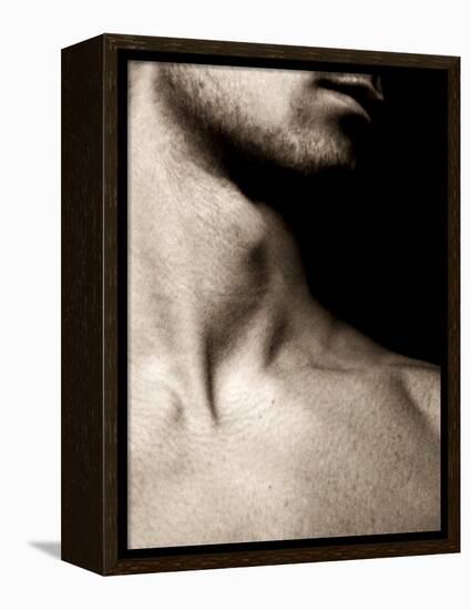 Neck-Fabio Panichi-Framed Premier Image Canvas