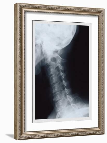 Neck-null-Framed Premium Giclee Print