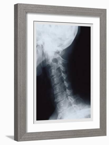 Neck-null-Framed Premium Giclee Print