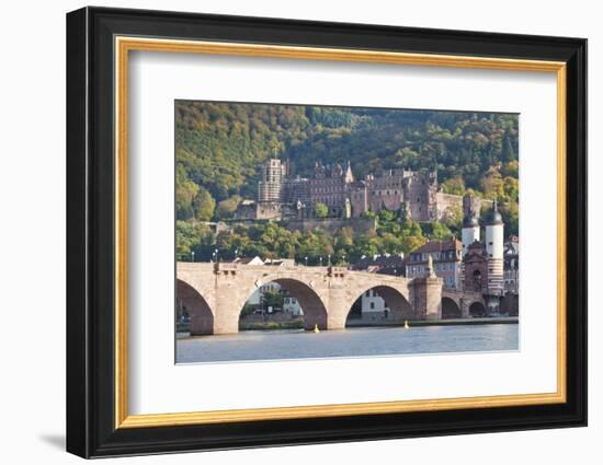 Neckar River with Karl Theodor Bridge-Markus-Framed Photographic Print