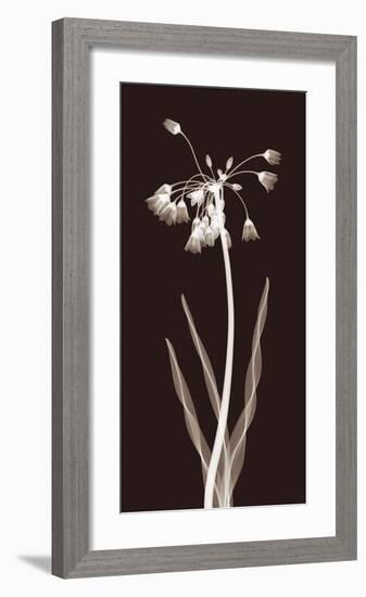 Nectar Twist-Jim Wehtje-Framed Giclee Print