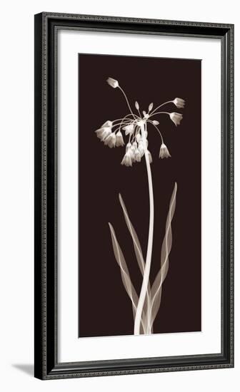 Nectar Twist-Jim Wehtje-Framed Giclee Print