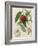 Nectarine: Neals Early Purple-William Hooker-Framed Giclee Print