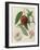 Nectarine: Neals Early Purple-William Hooker-Framed Giclee Print