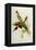 Nectarinia Gouldae from 'Tropical Birds'-John Gould-Framed Premier Image Canvas