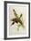 Nectarinia Gouldae from 'Tropical Birds'-John Gould-Framed Giclee Print