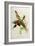 Nectarinia Gouldae from 'Tropical Birds'-John Gould-Framed Giclee Print