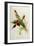 Nectarinia Gouldae from 'Tropical Birds'-John Gould-Framed Giclee Print