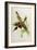 Nectarinia Gouldae from 'Tropical Birds'-John Gould-Framed Giclee Print