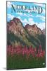 Nederland, Colorado - Fireweed and Mountains-Lantern Press-Mounted Art Print