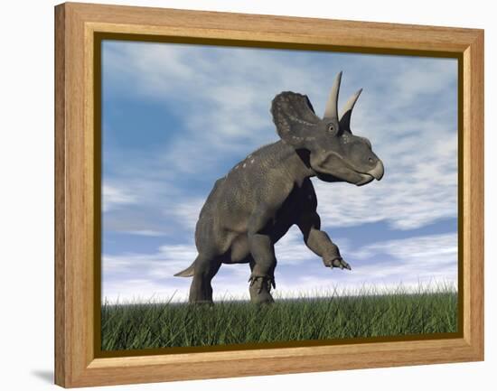 Nedoceratops Dinosaur Grazing in Grassy Field-null-Framed Stretched Canvas