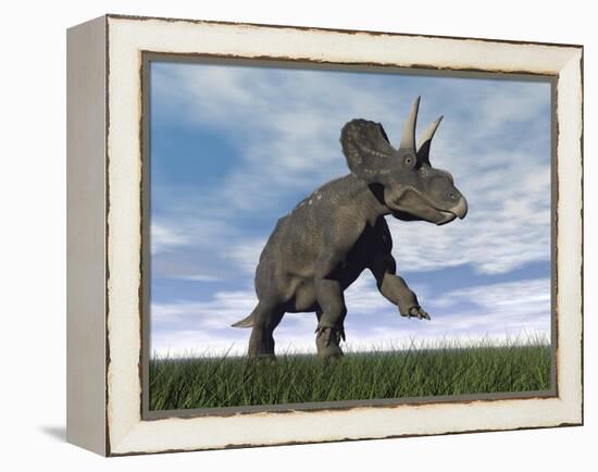 Nedoceratops Dinosaur Grazing in Grassy Field-null-Framed Stretched Canvas