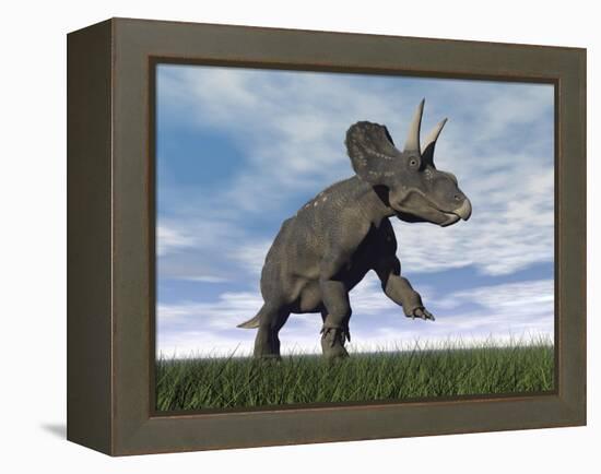 Nedoceratops Dinosaur Grazing in Grassy Field-null-Framed Stretched Canvas