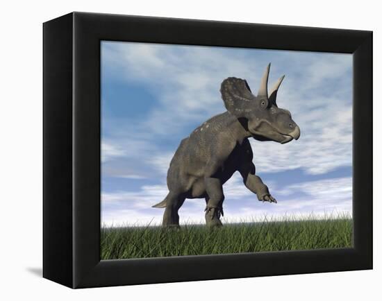 Nedoceratops Dinosaur Grazing in Grassy Field-null-Framed Stretched Canvas