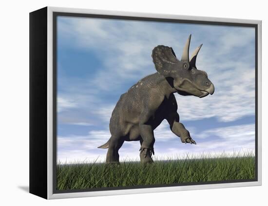 Nedoceratops Dinosaur Grazing in Grassy Field-null-Framed Stretched Canvas