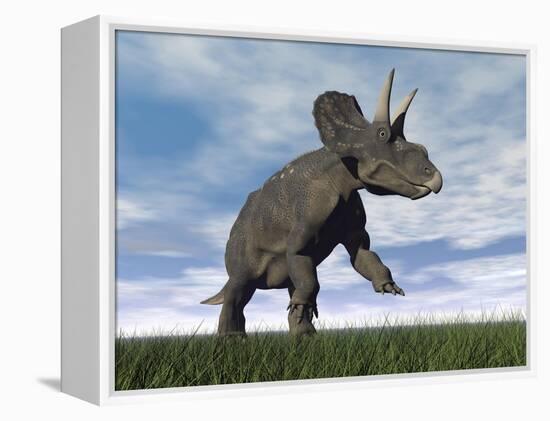 Nedoceratops Dinosaur Grazing in Grassy Field-null-Framed Stretched Canvas