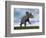 Nedoceratops Dinosaur Grazing in Grassy Field-null-Framed Premium Giclee Print