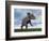 Nedoceratops Dinosaur Grazing in Grassy Field-null-Framed Premium Giclee Print