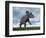 Nedoceratops Dinosaur Grazing in Grassy Field-null-Framed Premium Giclee Print