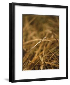 Needle in a Haystack-Terry Why-Framed Photographic Print