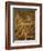 Needle in a Haystack-Terry Why-Framed Photographic Print