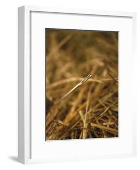 Needle in a Haystack-Terry Why-Framed Photographic Print