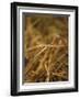 Needle in a Haystack-Terry Why-Framed Photographic Print