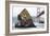 Needle Rock-Lance Kuehne-Framed Photographic Print