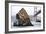 Needle Rock-Lance Kuehne-Framed Photographic Print