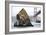 Needle Rock-Lance Kuehne-Framed Photographic Print