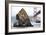 Needle Rock-Lance Kuehne-Framed Photographic Print