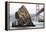 Needle Rock-Lance Kuehne-Framed Premier Image Canvas