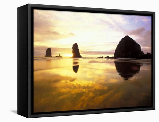 Needles and Haystack at Sunset, Cannon Beach, Oregon, USA-Darrell Gulin-Framed Premier Image Canvas