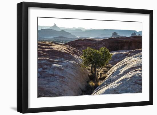 Needles District Canyonlands National Park Utah-Liam Doran-Framed Photographic Print