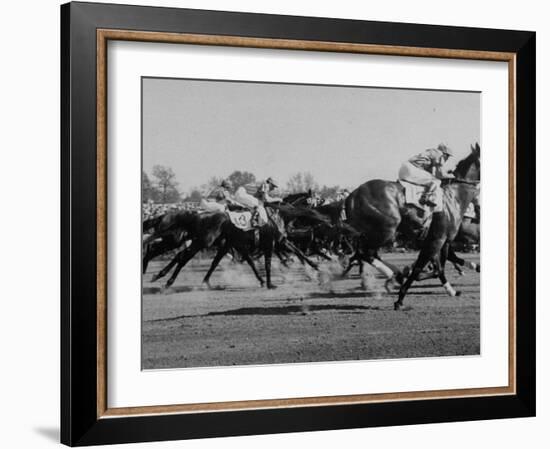 Needles in Kentucky Derby, Winner of the 82nd Running of the Most Famous of US Horse Races-Hank Walker-Framed Photographic Print