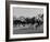 Needles in Kentucky Derby, Winner of the 82nd Running of the Most Famous of US Horse Races-Hank Walker-Framed Photographic Print