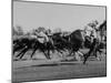 Needles in Kentucky Derby, Winner of the 82nd Running of the Most Famous of US Horse Races-Hank Walker-Mounted Photographic Print