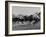 Needles in Kentucky Derby, Winner of the 82nd Running of the Most Famous of US Horse Races-Hank Walker-Framed Photographic Print