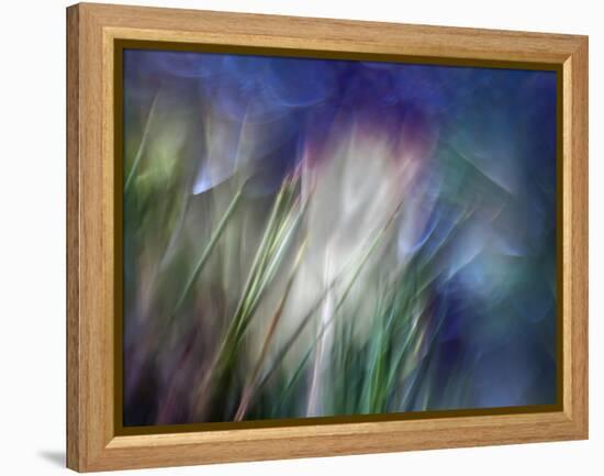 Needles-Ursula Abresch-Framed Premier Image Canvas