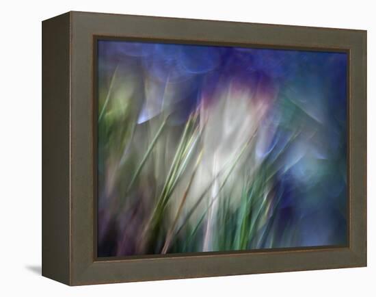 Needles-Ursula Abresch-Framed Premier Image Canvas