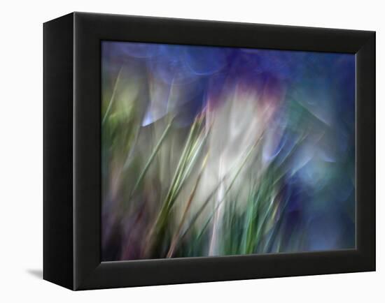 Needles-Ursula Abresch-Framed Premier Image Canvas