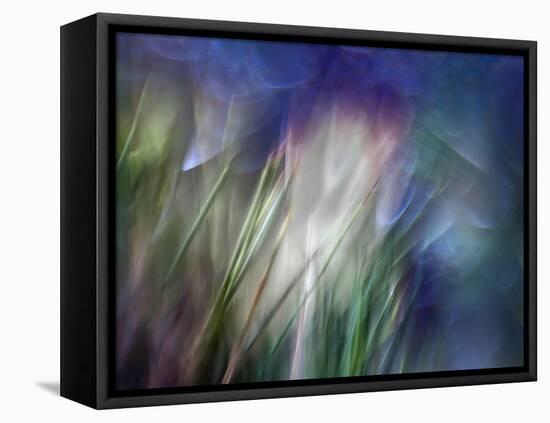 Needles-Ursula Abresch-Framed Premier Image Canvas