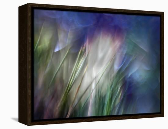 Needles-Ursula Abresch-Framed Premier Image Canvas