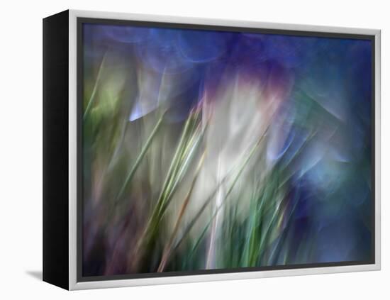 Needles-Ursula Abresch-Framed Premier Image Canvas