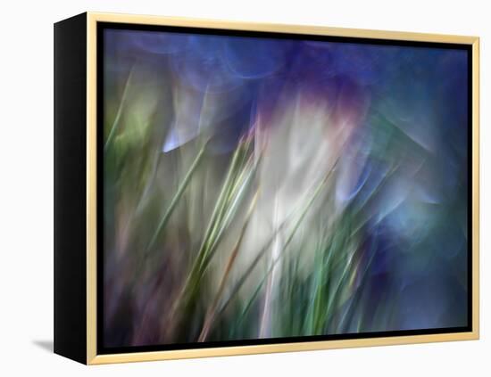 Needles-Ursula Abresch-Framed Premier Image Canvas