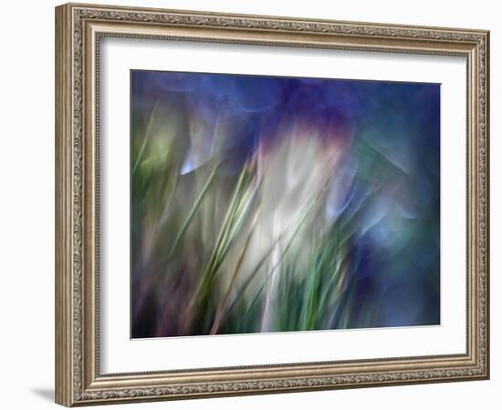 Needles-Ursula Abresch-Framed Photographic Print