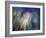 Needles-Ursula Abresch-Framed Photographic Print